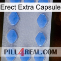 Erect Extra Capsule 21